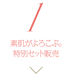特別セット販売