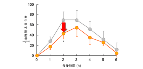 食べた分だけ